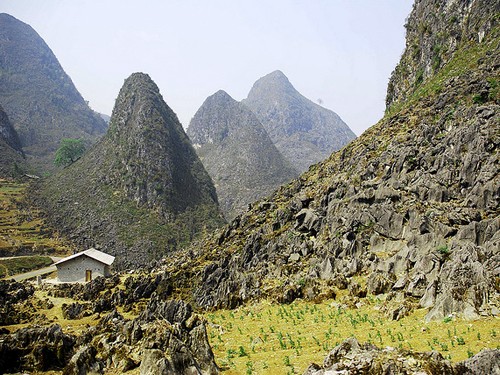 Каменное плоскогорье Донгван – красота дикой природы - ảnh 1